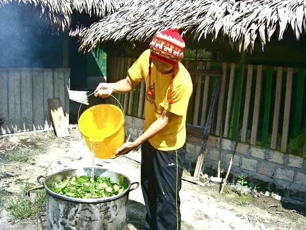 Apprentice Cooking Ayahuasca
