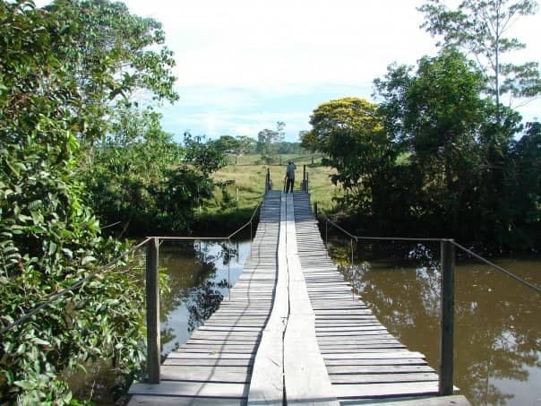 Bridge in the Village