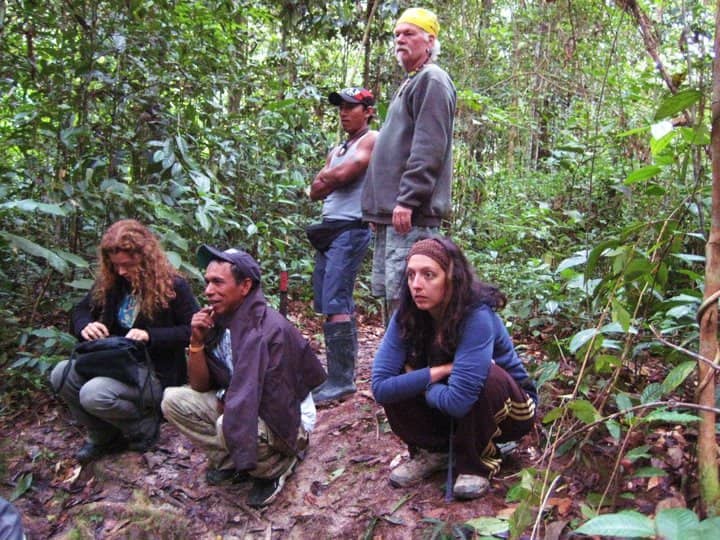 Group in the Jungle