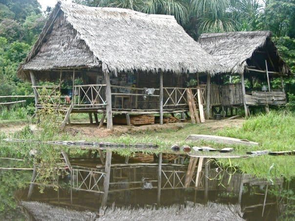 Village Houses Along the River in the Peruvian Amazon